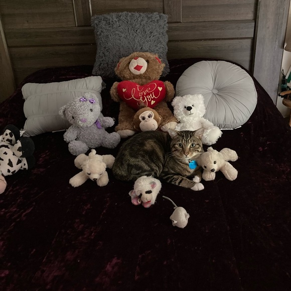 Meet your Posher, Mikenzie - Picture 7 of 11